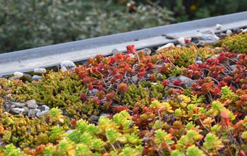 the cost of Bewcastle green roof installation